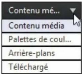 CYBERLINK PowerDirector 11 - Ajouter des palettes de couleurs et des arrière-plans - 1