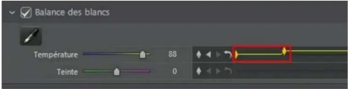 CYBERLINK ColorDirector 2 - Configuration du comportement des images clés - 2