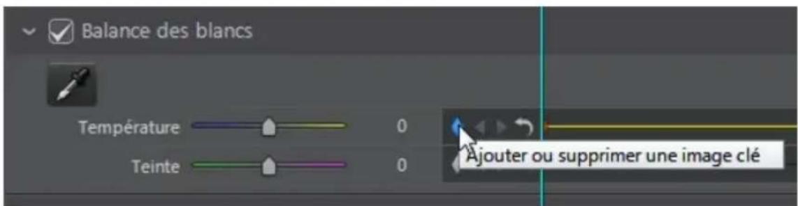 CYBERLINK ColorDirector 2 - Ajouter des images clés - 2
