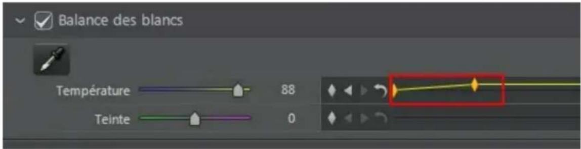 CYBERLINK ColorDirector 2 - Configuration du comportement des images clés - 1