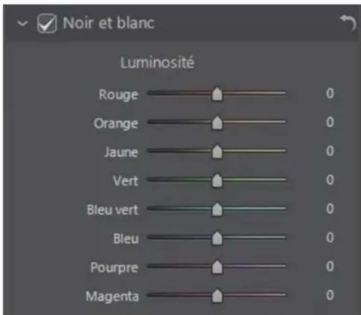 CYBERLINK ColorDirector 2 - Noir et blanc - 1