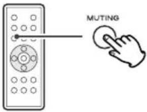 TEAC SRLX5IB - Neutralisation (MUTING) - 1