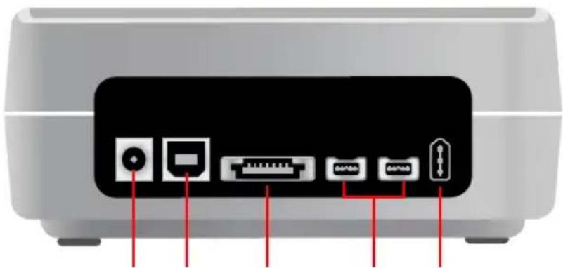 FREECOM Hard Drive Dock Quattro - Face arrière - 1