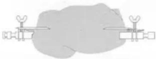 CLATRONIC MBG 3621 Multi oven - NOTA: - 1
