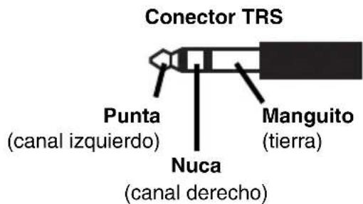 ALTO Kick 15 - PANEL TRASERO - 2