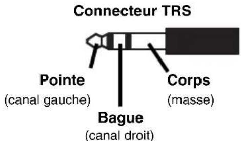 ALTO Kick 12 - Panneau arrière - 2