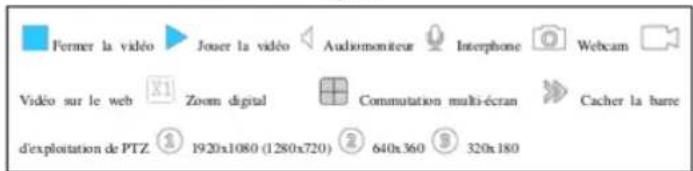 MCL IPCAM629EW - Camera - 2