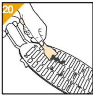 PHILIPS HD4435 - Rengjering - 2