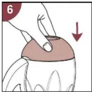 PHILIPS Cucina 3 in 1 HD2430 - Assembly - 5