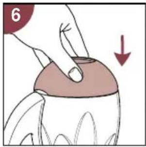 PHILIPS Cucina 3 in 1 HD2430 - Sikkerhetsbryter - 1