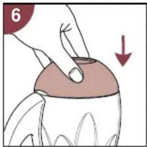 PHILIPS Cucina 3 in 1 HD2430 - Συναρμολόγηση - 2