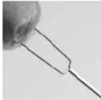 INVENTUM Donut DM 06 - | ACCESSOIRES - 1