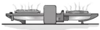 BOSCH TFB3302 - Asado por contacto directo con las placas - 2