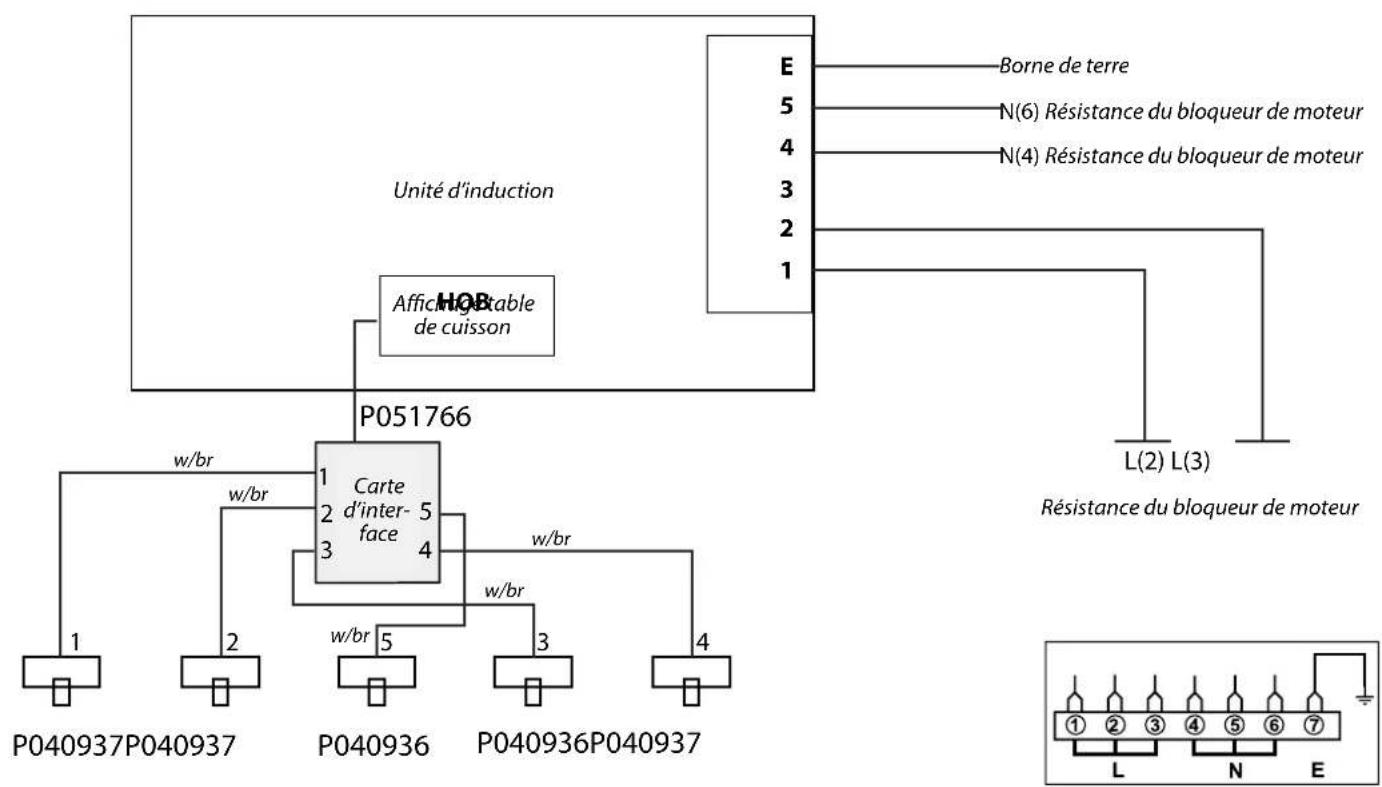 FALCON 110 Induction G5 - Schémas de Câblage - 1