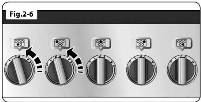 FALCON 110 Induction G5 - Détection de Récipient de Cuisson, - 3
