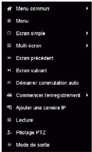 Menu commun Menu Ecran simple Multi-écran Ecran précédent Ecran suivant Démarrer commutation auto Commencer l'enregistrement Ajouter une caméra IP Lecture Pilotage PTZ Mode de sortie