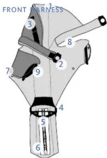 BabyBjörn Baby Carrier Miracle - Congratulations on your little miracle! - 1
