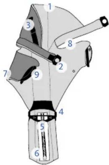 BabyBjörn Baby Carrier Miracle - Herzlichen Glückwunsch zu ihrem kleinen Wunder! - 1