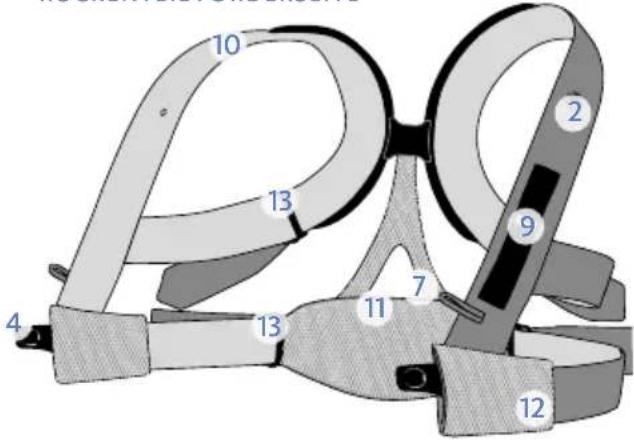 BabyBjörn Baby Carrier Miracle - Herzlichen Glückwunsch zu ihrem kleinen Wunder! - 2
