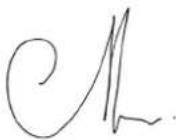 TELEFUNKEN TDBS500V - Jean-Tony LEAC - 1