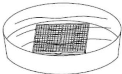 ROTEL U798CH1 - Reinigung der Filter - 2
