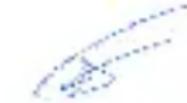 Sunstech Neptun - DECLARATION DE CONFORMIDADE - 1