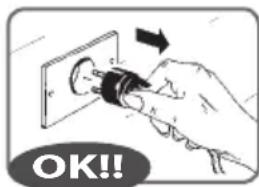 RGV Industrial Grill - Avant de brancher l'appareil, assurez-vous que la tension correspond aux specifications sur la plaque signalétique (voir page 79). - 1