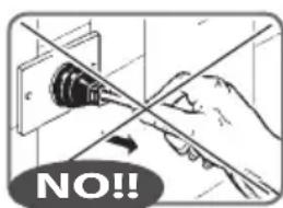 RGV Industrial Grill - Before plugging the device, ensure that the line voltage corresponds to that indicated on the rating plate (see page 79). - 2