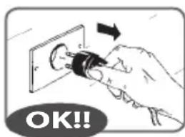 RGV Industrial Grill - Bevor Sie das Gerät elektrisch anschliessen, stellen Sie sicher, dass die Spannung mit den Angaben auf dem Typenschild (siehe Seite 79) übereinstimmt. - 1