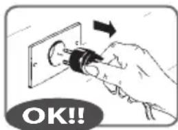 RGV Industrial Grill - Before plugging the device, ensure that the line voltage corresponds to that indicated on the rating plate (see page 79). - 1