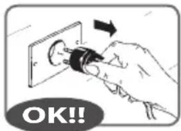 RGV Industrial Grill - Prima di collegare elettricamente l'apparecchio, assicurarsi che la tensione di rete corrisponda a quanto riportato sulla targa dati dell'apparecchio (vedere pagina 79). - 1