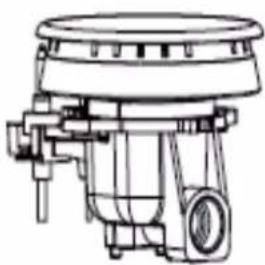 BOMPANI Diva - D - 3