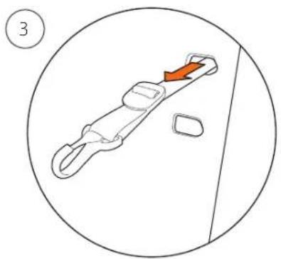 STOKKE Xplory New - Adjusting harness - 3
