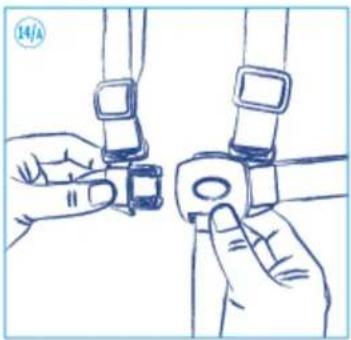 Giordani Club - iIMPORTANTE! - 29