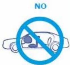 Giordani Club - iIMPORTANTE! - 71