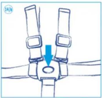 Giordani Club - iIMPORTANTE! - 30