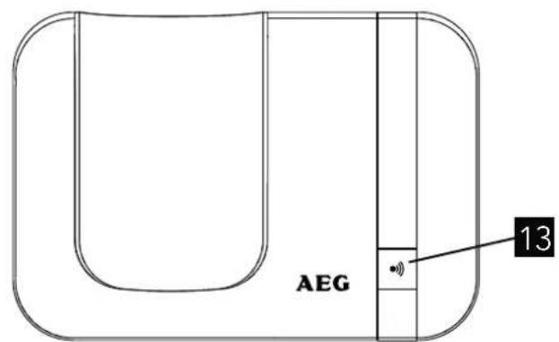 AEG 13