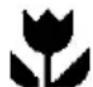 ELECTROLUX EUC 25391 - ONDERHOUD - 2