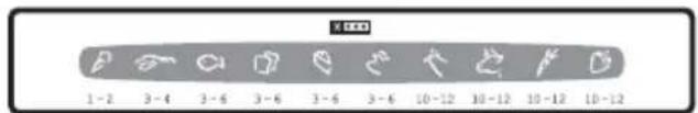 ELECTROLUX ECM 26131 - Pakastuskalenteri - 1