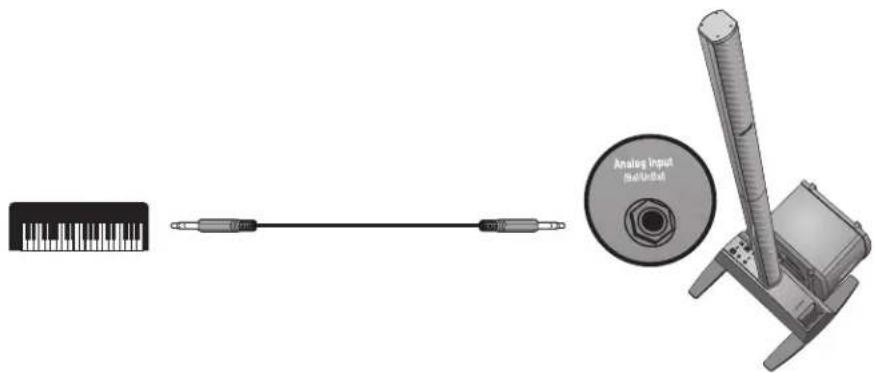 BOSE B1 - Musicien seul - 1