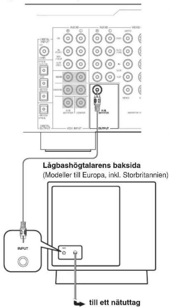 YAMAHA YSTFSW100 - Grundläggande anslutningsexempel - 1