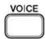 YAMAHA DC1E3 PE - [VOICE] - 11