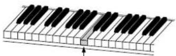 YAMAHA DC1E3 PE - Appuyez sur [PLAY]. - 2