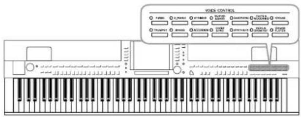 YAMAHA Clavinova CVP509PM - Transport - 2