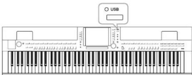 YAMAHA Clavinova CVP509PM - USB Audio (CVP-509/505/503) - 1