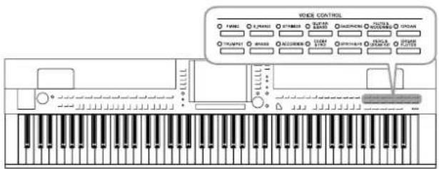 YAMAHA Clavinova CVP501PE - ⑦ Transpose (Transposition) - 1