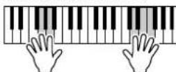 YAMAHA Clavinova CVP409GP - Jouez du clavler. - 1