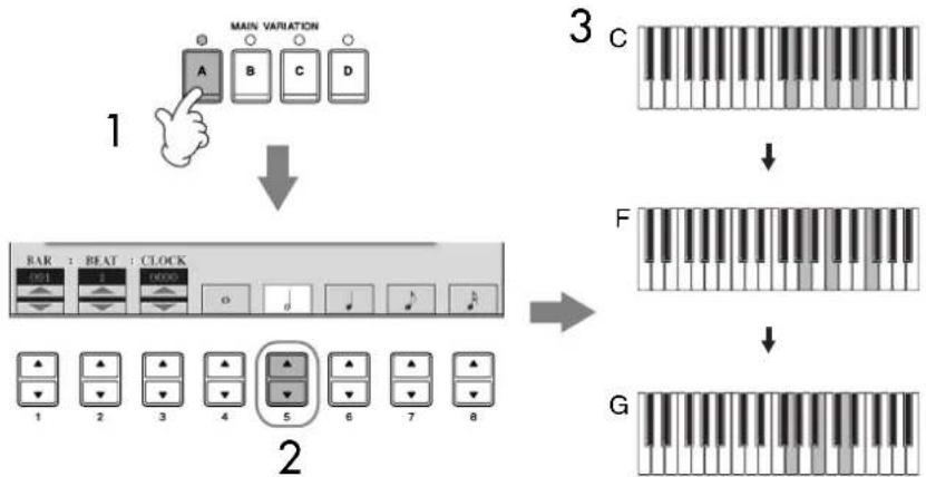 YAMAHA Clavinova CVP409GP - Enregistrement d'accords - 2