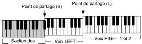 YAMAHA Clavinova CVP409GP - Réglage des points de partage (S) et (L) sur des notes différentes - 1