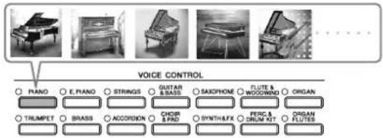 YAMAHA Clavinova CVP409GP - Reproduction de voix prédéfinitions - 1